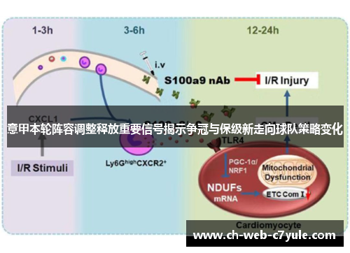 意甲本轮阵容调整释放重要信号揭示争冠与保级新走向球队策略变化