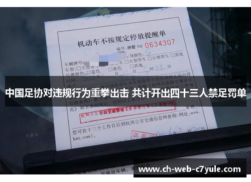 中国足协对违规行为重拳出击 共计开出四十三人禁足罚单