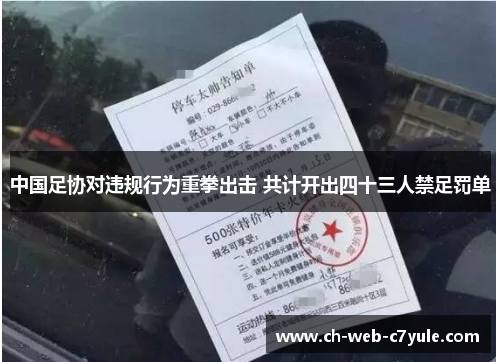 中国足协对违规行为重拳出击 共计开出四十三人禁足罚单