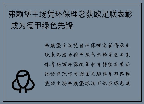 弗赖堡主场凭环保理念获欧足联表彰 成为德甲绿色先锋