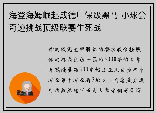 海登海姆崛起成德甲保级黑马 小球会奇迹挑战顶级联赛生死战 海登海姆崛起成德甲保级黑马 小球会奇迹挑战顶级联赛生死战