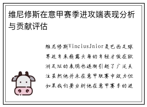 维尼修斯在意甲赛季进攻端表现分析与贡献评估